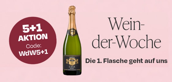 5 + 1 gratis! Barón de Lión Cava Brut für 45€ | Wein der Woche!
