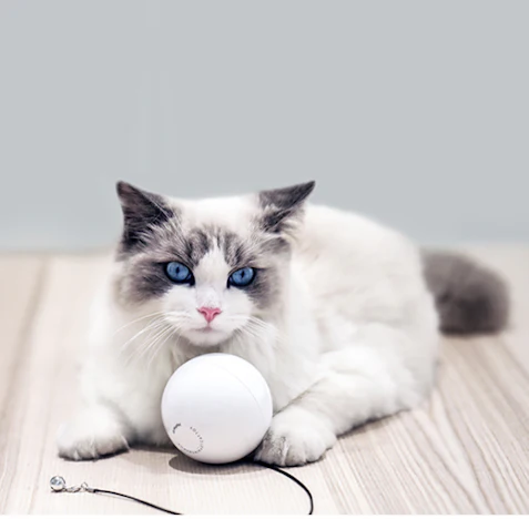 Interaktives Katzenspielzeug Ball mit LED-Licht