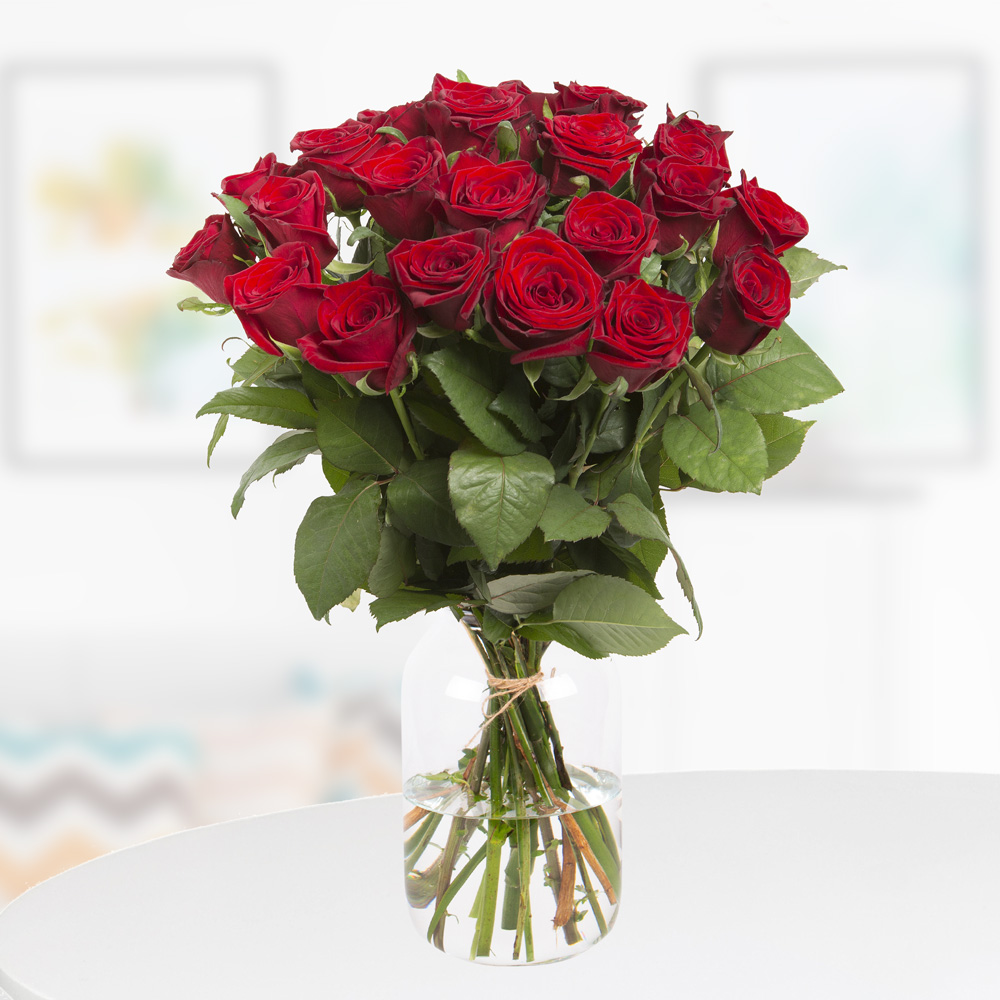 20 rote Premium-Rosen für 23€ – 50cm Stiellänge mit kostenloser Grußkarte
