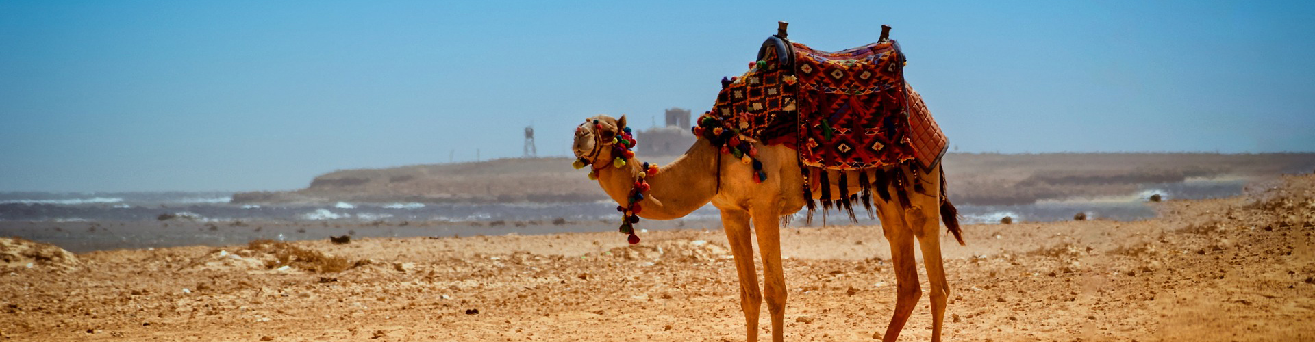Hurghada Urlaub Schnäppchen » Günstig in die bunte Unterwasserwelt