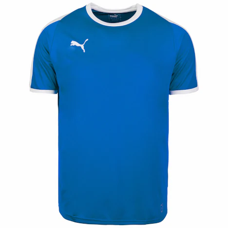 Puma Liga Fußballtrikot Herren verschiedene Farben