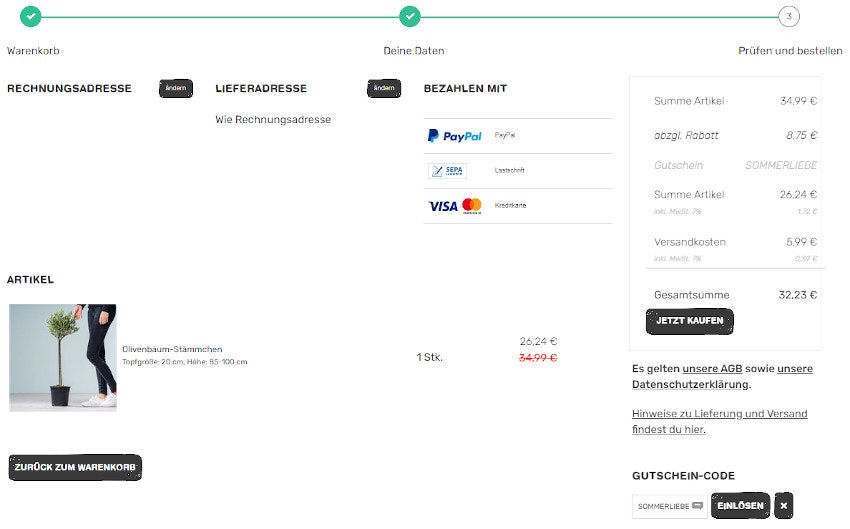 sommerliebe-rabatt-pflanze2000-by-blume2000-warenkorb