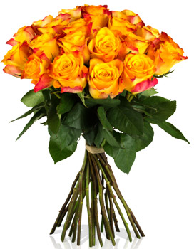 25 orange-gelbe Rosen für 18€ - Blütenmeer Joyful Yellow