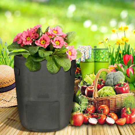 Kartoffel Pflanzsack Erdbeerbehälter Gemüse Blumen Pflanze Vlies Sämling Topf