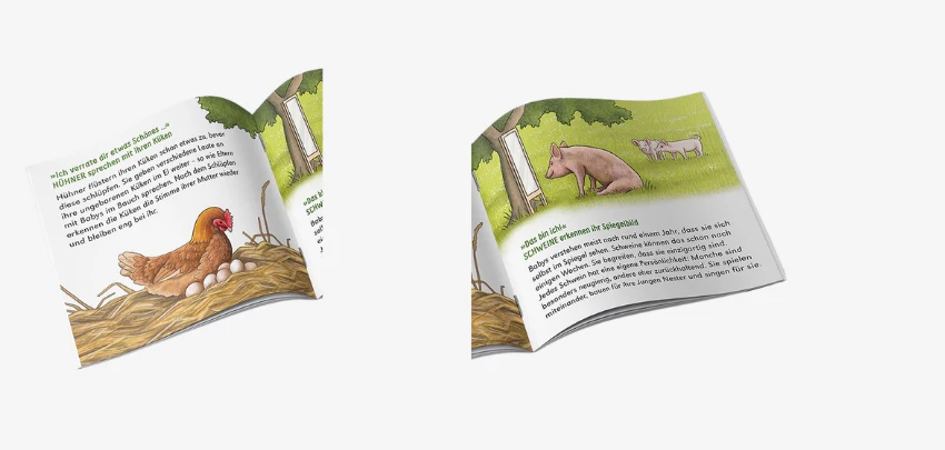 Pixi-Buch-Tierisch-viele-Gef--hle-Details
