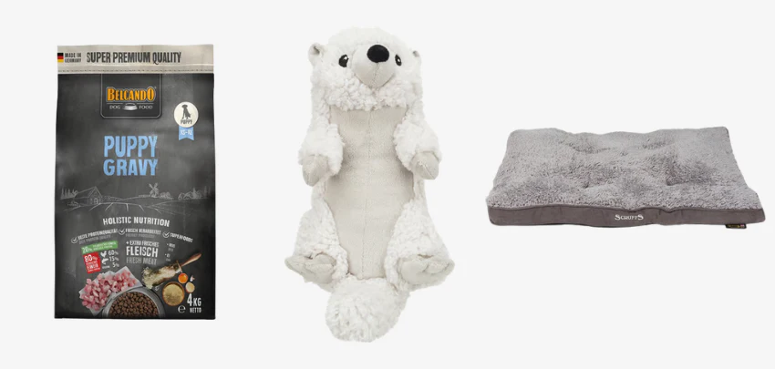 Welpen-Artikel-bis-zu-30----Beispiele