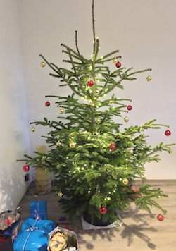Frohe Weihnachten!