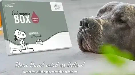 Diesmal die gratis Schnupperbox für den Hund