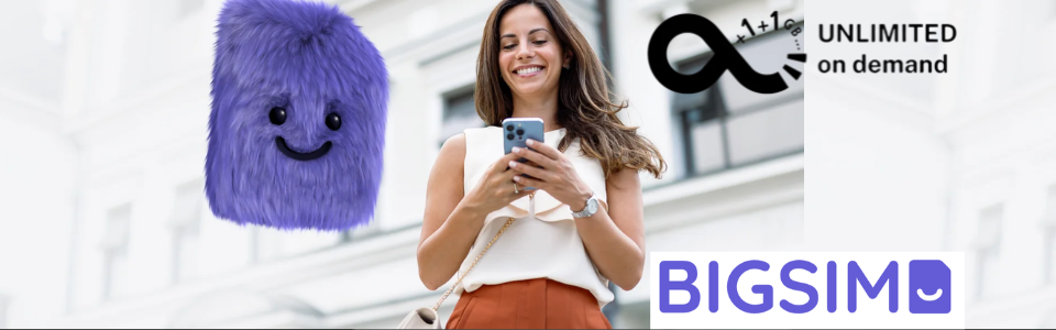 Bigsim