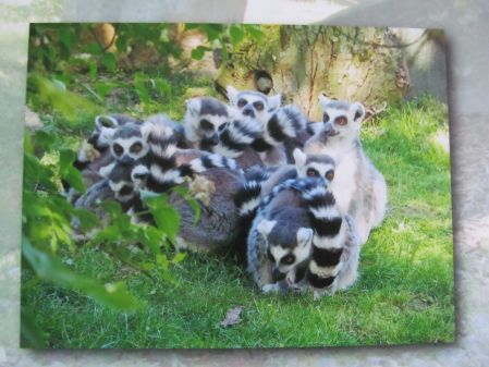 10 € FotoFoto.de Gutschein