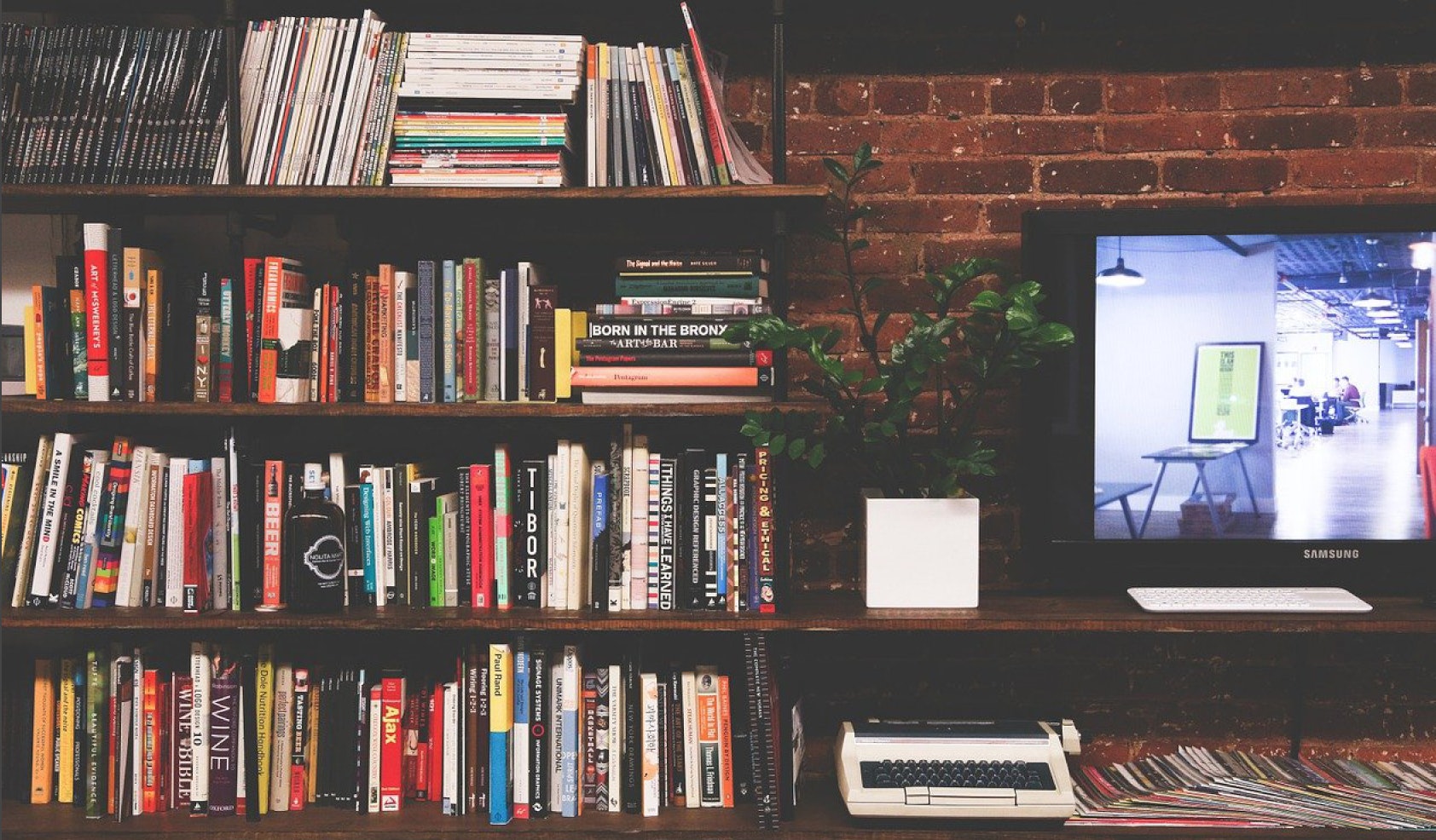 fernseher-kaufen-3-regal