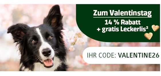 Valentinstags-Aktion bei alsa-hundewelt 🤩 - 14% Rabatt auf die gesamte Bestellung + Gratis-Hundeleckerlis! 🐶❤️