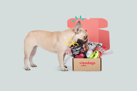 Eine Box voller Überraschungen für Deinen Hund <3