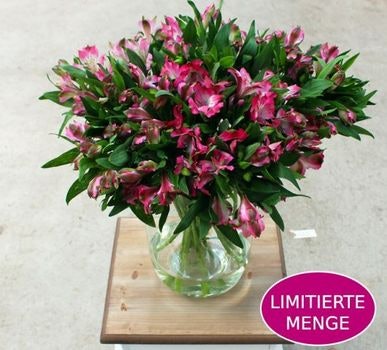 20 pinkfarbene Alstromerien für 15 euro -  Versand am 13.08.2015