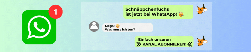 Schnäppchenfuchs bei What's App folgen