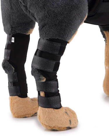1 Paar justierbarer Haustier-Bein-Klammer-Bein-Gelenkbandage Unterstützung Bandage Hock Knöchelverletzung Verstauchung Schutzschläuche