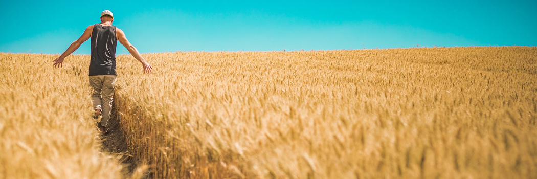 Work and Travel: Tipps zum Urlauben mit wenig Geld