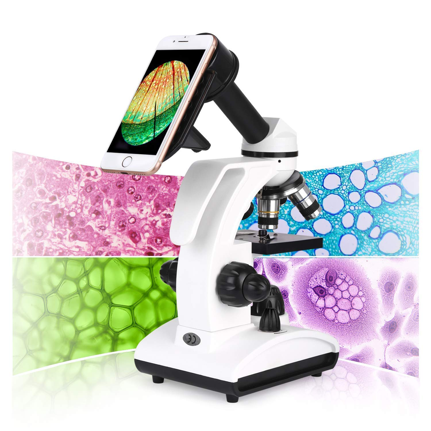 Mikroskop 40X-1000X Vergrößerung Optik Glas neugierige Kinder und Erwachsene