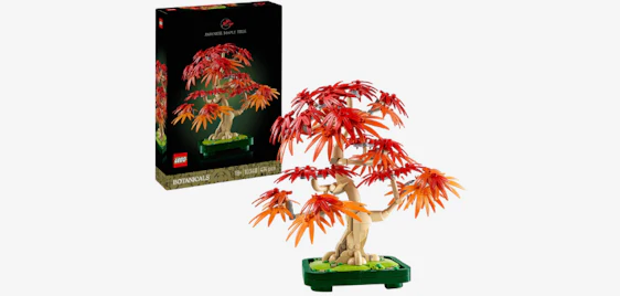 Toller Deal für LEGO-Fans! 🪵 LEGO 10348 Botanicals Japanischer Roter Ahorn Bonsai-Baum für nur 36€