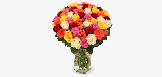 Farbenfrohe Blumengrüße! 💐 40 bunte Rosen für 26€ verschenken!