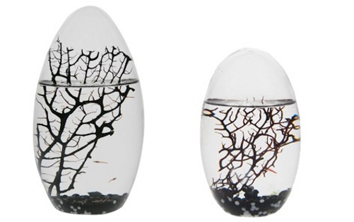 Mini-Biosphären-Aquarium EcoSphere mit Garnelen ab 49,90 statt 99 €