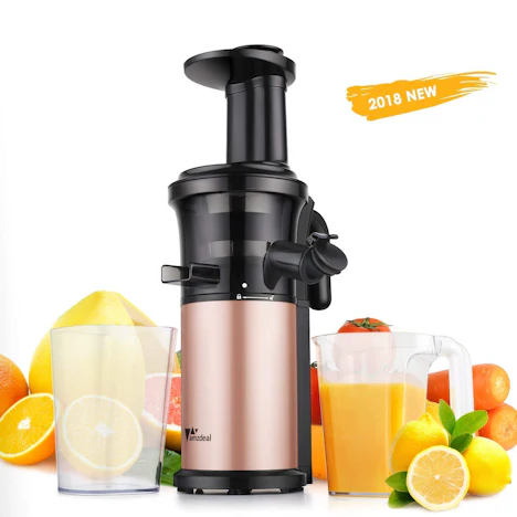 Entsafter - Slow Juicer 43 ± 5 U/min Edelstahl