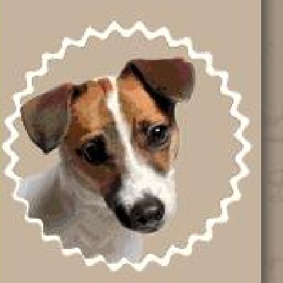 Gratis Hundefutter Probe