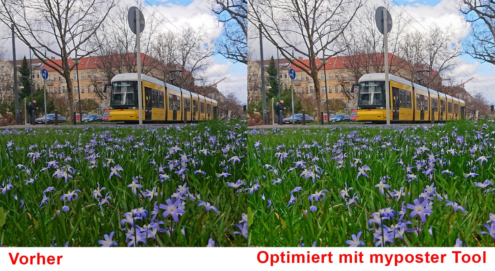 myposter Bildverbesserung Vergleich