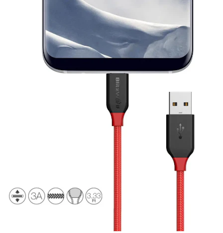 BlitzWolf 1m 3A USB Typ C Ladekabel + Konverter
