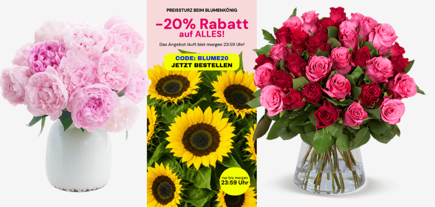 💐 BlumeIdeal zündet 20% Extra-Rabatt auf alles: z.B. 40 Rosen für nur 22€ inkl. Versand!