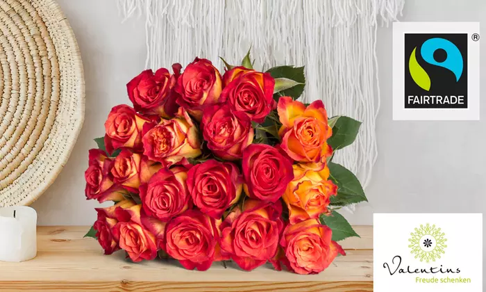 12 oder 18 Fairtrade-Rosen von Valentins ab 18€ – in rot oder gelb-orangefarbene