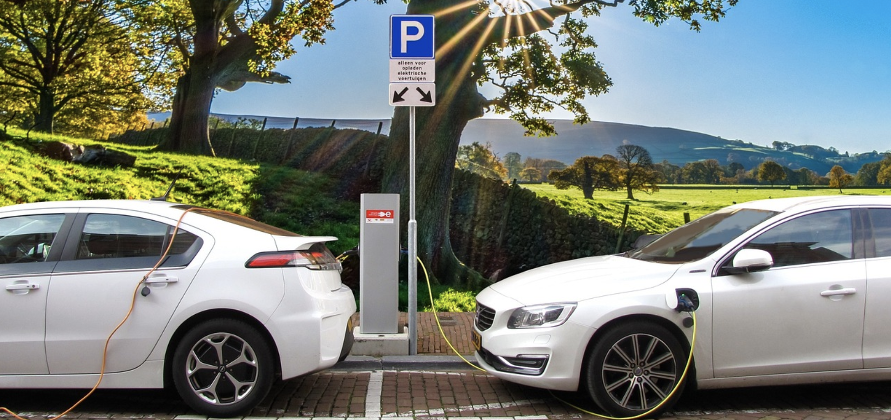 THG-Quote sinkt 2023 » Weshalb ihr schon jetzt die Prämie fürs nächste Jahr beantragen solltet