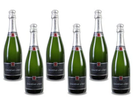 6 Flaschen französischer Champagner schnaeppchenfuchs