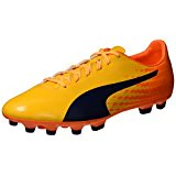 Puma Herren Evospeed 17.2 AG Fußballschuhe, Neongelb/Lime, 44