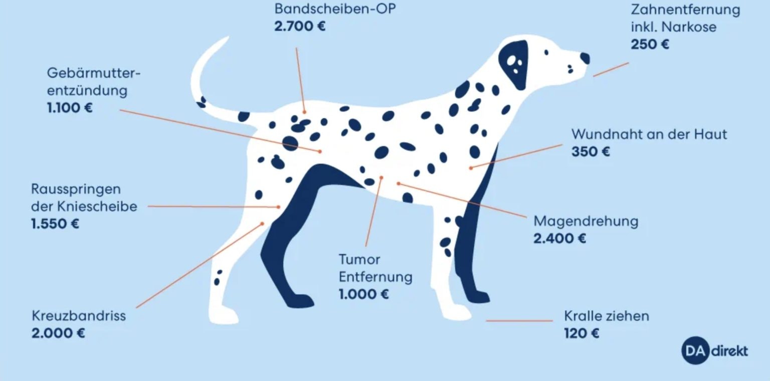 Guenstige Hundeversicherung