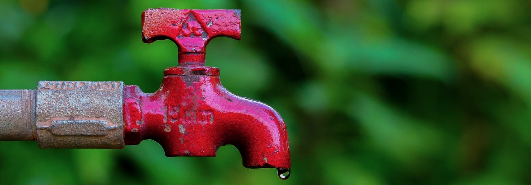 Wasser-Sparen-Garten1 Wasser-Sparen-Garten1