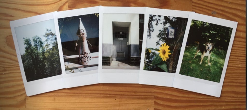 sofortbildkamera-test