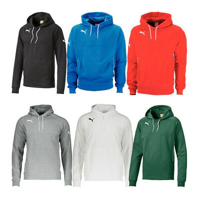 PUMA Esito 3 Hoody Kapuzensweatshirt
