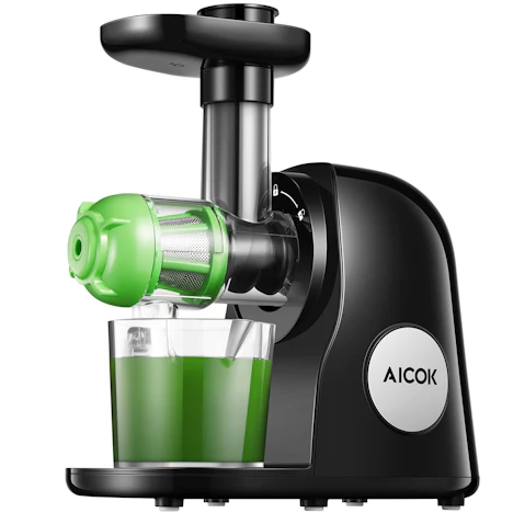 Slow Juicer, Ruhiger Motor und Umkehrfunktion