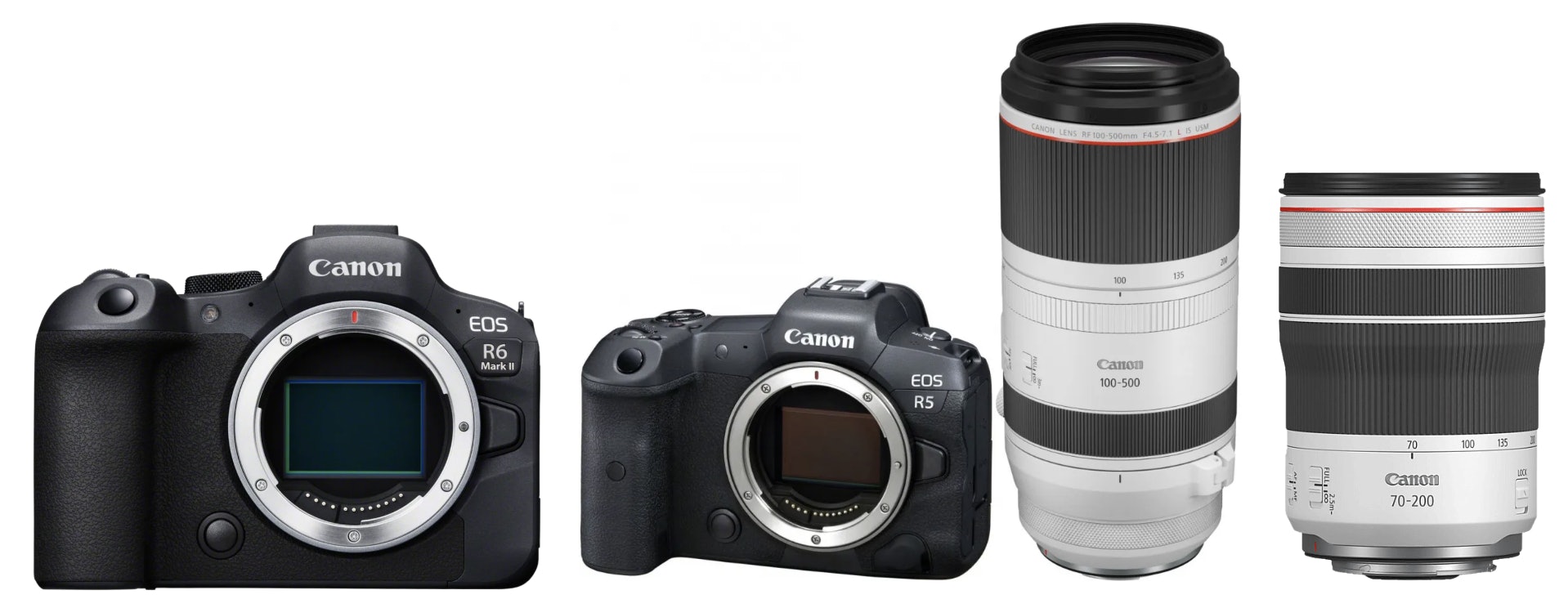 Canon-Deals-Foto-Erhardt