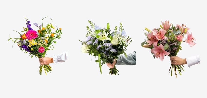 Blume-Ideal-Rabattcode-Beispiele Blume-Ideal-Rabattcode-Beispiele