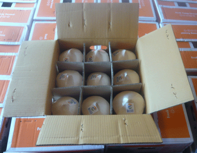 9 Trinkkokosnüsse für 16€