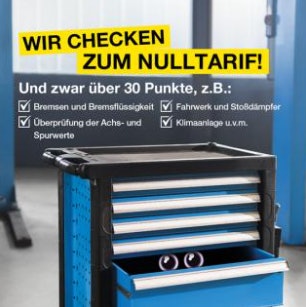 Vergoelst-Meistercheck-Punkte