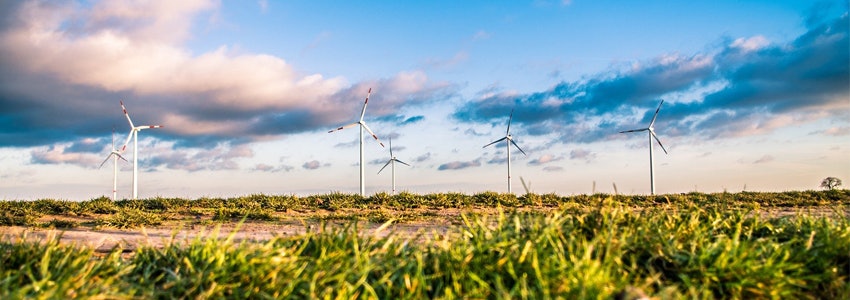 Nachhaltige Banken im Vergleich - Welche ethische Bank hat das beste Angebot?