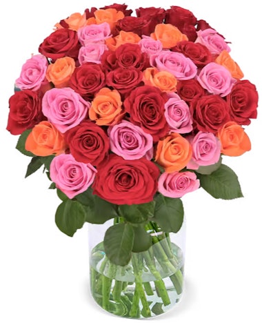 44 Rosen "Autumn Vibes" für 27€ - Rot, Pink und Orange, mit 40-50cm Länge