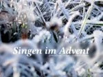 Kostenlose gemeinfreie Kinderlieder zum Selberausdrucken von Musikpiraten e. V.