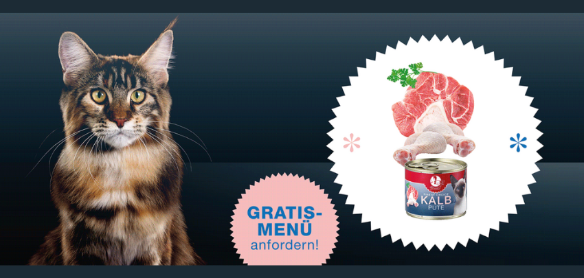 Gratisprobe bei Dinner for Cats ordern 🐈‍⬛ Nass- oder Trockenfutter