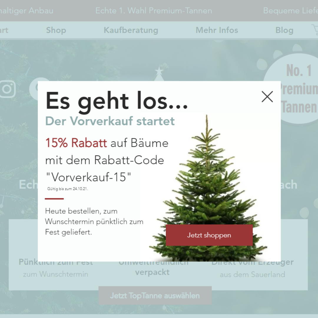 Weihnachtsbaum online bestellen - EARLY BIRD