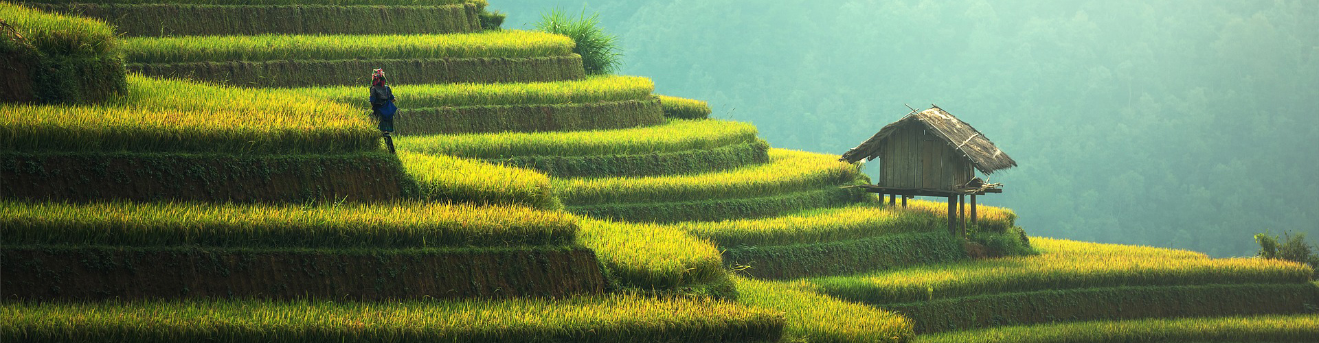 Asien Urlaub günstig buchen » Die besten Angebote für exotische Fernreisen