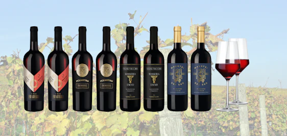 Aktueller TOPseller 💣 Primitivo Weinset nur 40€ (inkl. 2 Gläser)